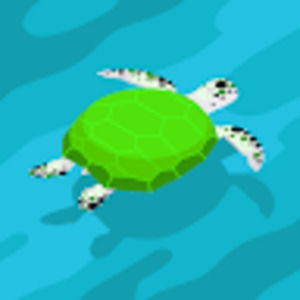 Meet your Posher, Steph